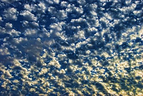 Alto Cumulus Clouds (FREE TEXTURE)