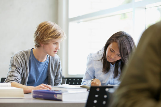 classmates studying together