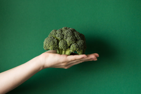 Raw broccoli in hand. Vegetarian food or diet concept.