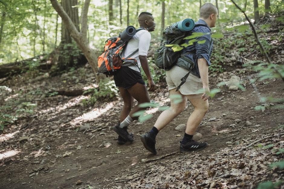 Unrecognizable diverse friends in casual clothes with backpacks with hiking equipment walking in gre